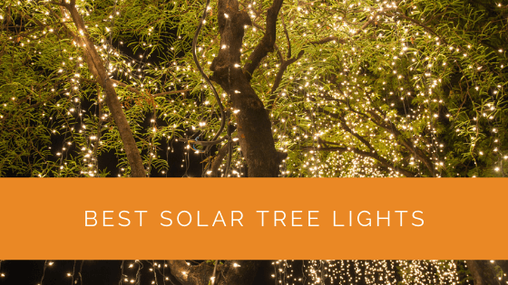 Best Solar Tree Lights