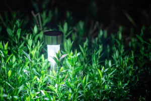 Solar Garden Light