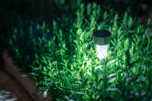 Solar LED Garden Light