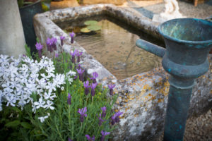Garden Water Feature