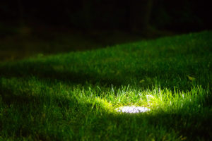 Solar Driveway Lights