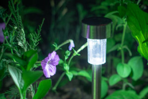 Solar Garden Light