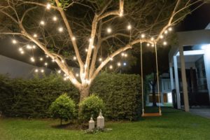 Solar Tree Lights