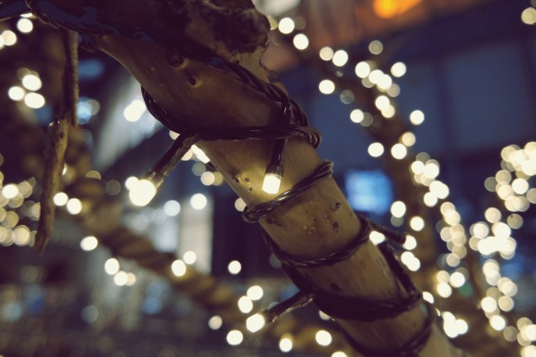 Best Solar Tree Lights for 2024 Tree Lights in a Stylish and