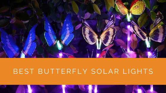 Best Butterfly Solar Lights