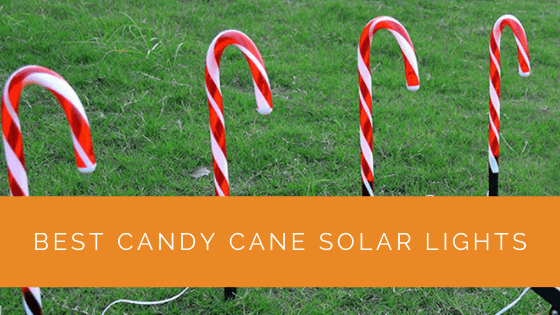 Best Candy Cane Solar Lights