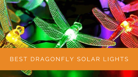 Best Dragonfly Solar Lights