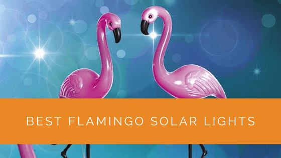 Best Flamingo Solar Lights