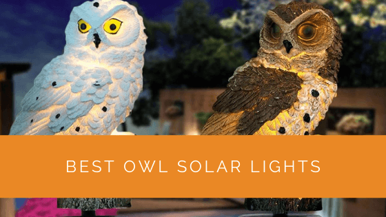 Best Owl Solar Lights