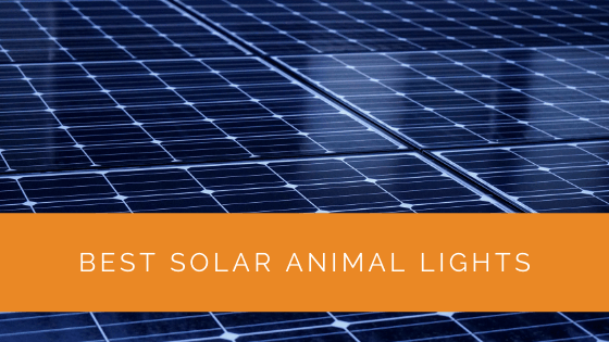Best Solar Animal Lights