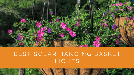 Best Solar Hanging Basket Lights