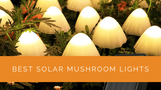 Best Solar Mushroom Lights