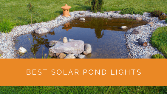 Best Solar Pond Lights