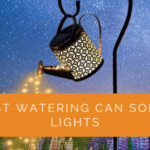 Best Watering Can Solar Lights