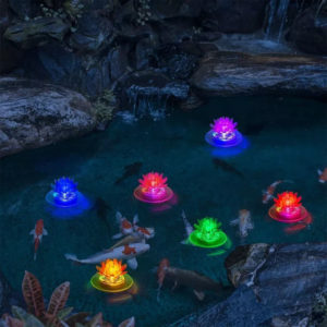 Solar Pond Lights