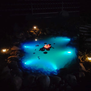 Solar Powered Pond Lights