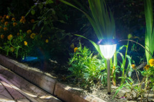 Solar Garden Light