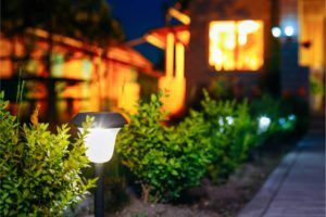 Solar Light in Garden