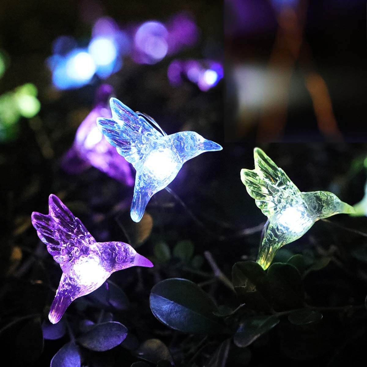 WSgift Solar Hummingbird String Lights