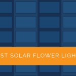 Best Solar Flower Lights