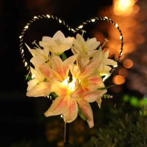Starryfill Heart-Shaped Lily Solar Light